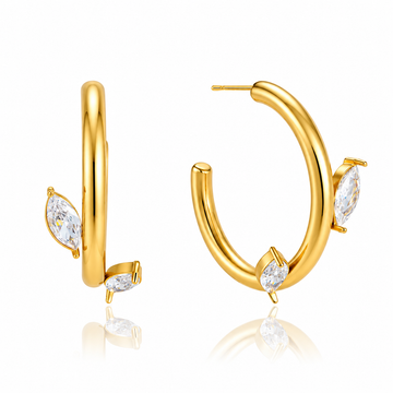 Holly Hoops