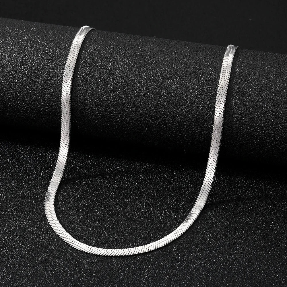 Snake Silver 16" Necklace